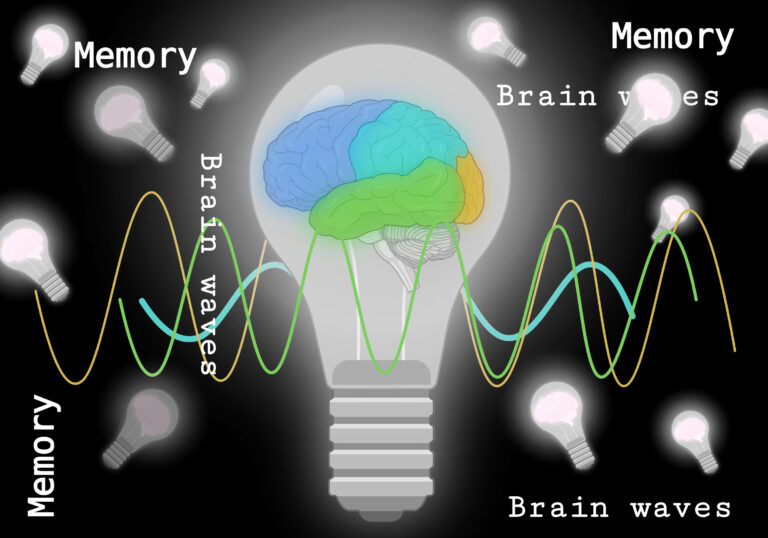 Magnetic Brain Stimulation Can Boost Our Memory