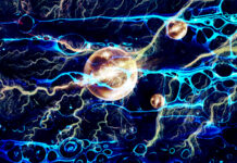 Metallic Water…With the Help of Alkalis?!