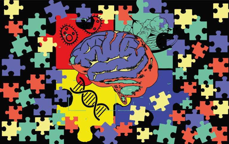 Autism Affects Gut Bacteria and Not the Other Way