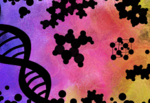 The Dangers of Iron Imbalance in Our Body