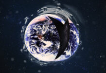 How Planetary Iron May Have Driven Evolution of Complex Life