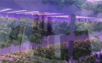 Urban Farms, The Future of Agriculture