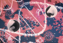 Genetic Risk Factors Related to the Loss of Taste and Smell in Covid-19