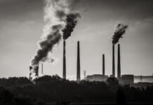 Researchers Create Chemicals With a Carbon-Negative Footprint From Bacteria