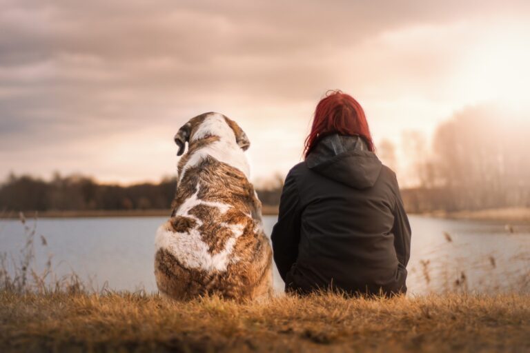 The Dog Aging Project