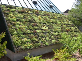 Growing Healthy Urban Futures, Together