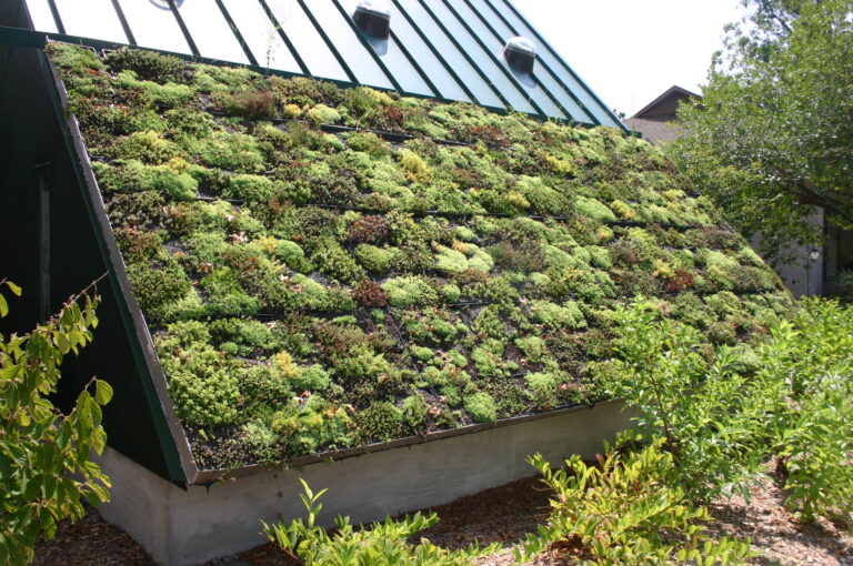 Growing Healthy Urban Futures, Together