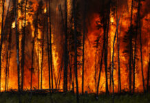 Wildfires, Cause of Planet Warming and Land Devastation