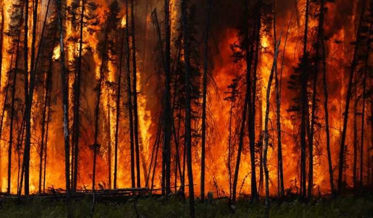 Wildfires, Cause of Planet Warming and Land Devastation