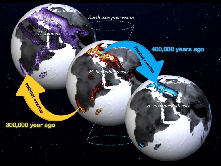 Astronomy May Have Influenced Ancient Human Species and Gave Rise to the Homo Sapiens    