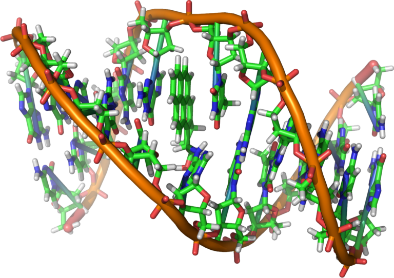 Quantum Mechanics Might Be Responsible for Mutations 