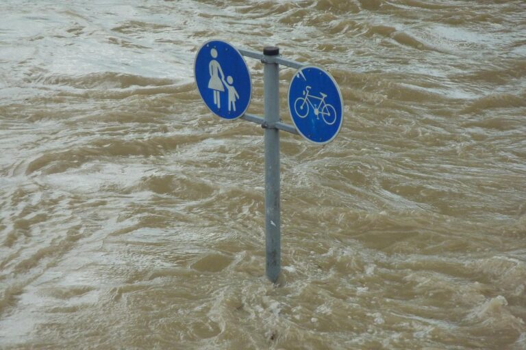 Climate Change Could Accelerate Outbreaks of Many Pathogenic Diseases