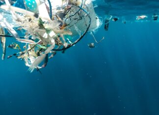 Pathogen bacteria first time found on microfibers may endanger bathing and seafood consumption in the Mediterranean Sea.