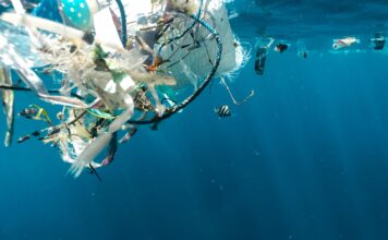 Pathogen bacteria first time found on microfibers may endanger bathing and seafood consumption in the Mediterranean Sea.