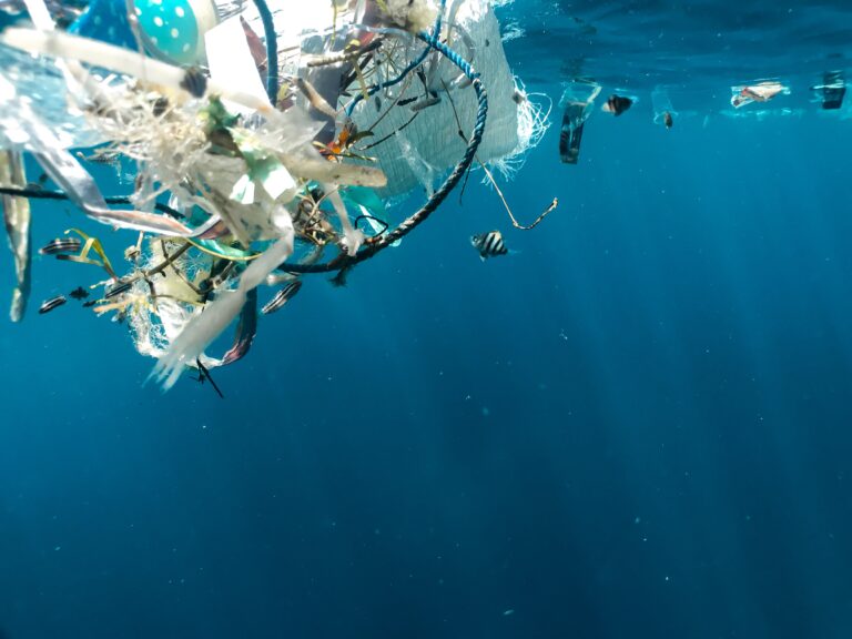 Pathogen bacteria first time found on microfibers may endanger bathing and seafood consumption in the Mediterranean Sea.