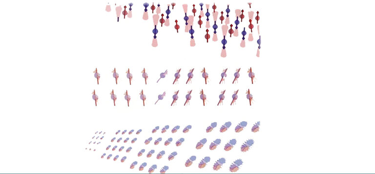 Simulating phases of matter in magnetic materials with qubits