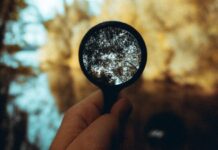 Citizen science: participating in the data collection phase is key to improving people’s scientific learning