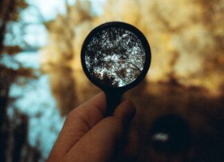 Citizen science: participating in the data collection phase is key to improving people’s scientific learning