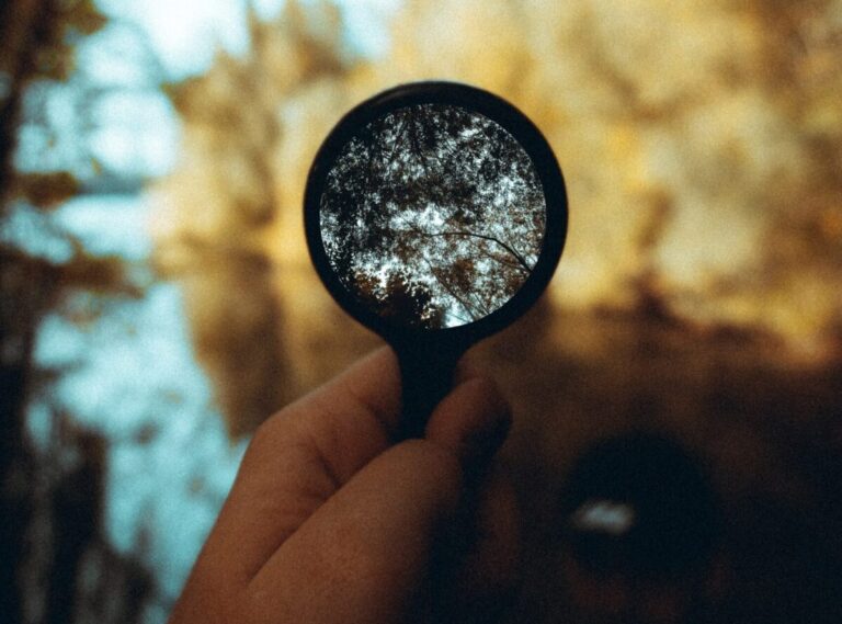 Citizen science: participating in the data collection phase is key to improving people’s scientific learning