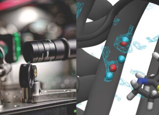 Quantum Algorithm Tested on a Commercial Quantum Device Can Help Discover Drugs
